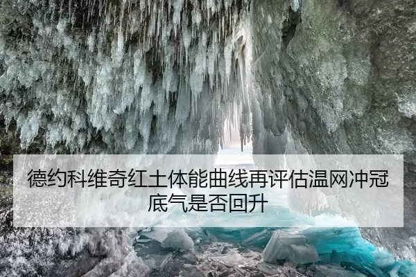德约科维奇红土体能曲线再评估温网冲冠底气是否回升