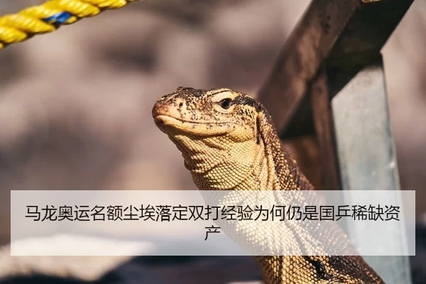 马龙奥运名额尘埃落定双打经验为何仍是国乒稀缺资产